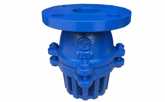 Hình ảnh minh họa (1)