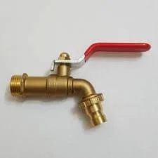 Hình ảnh minh họa (1)