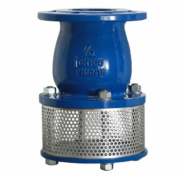 Hình ảnh minh họa (2)