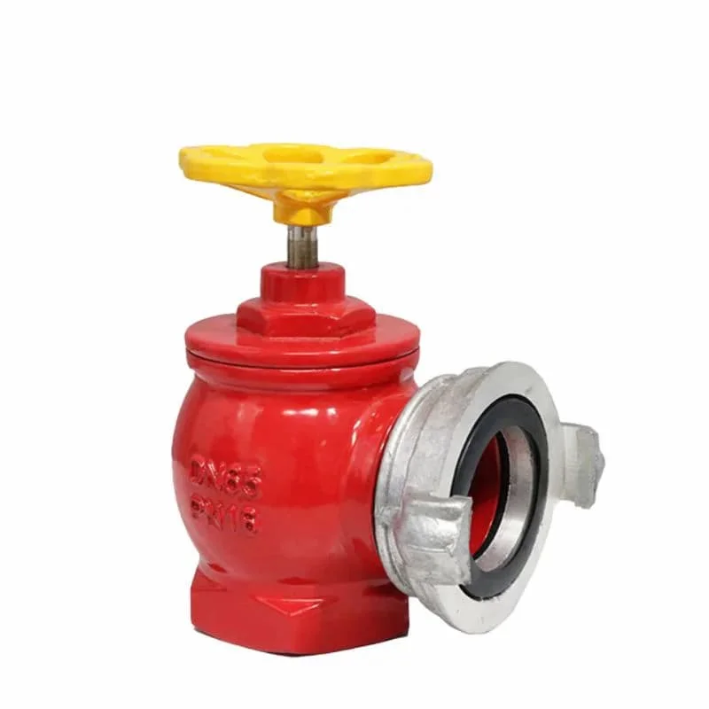 Hình ảnh minh họa (1)