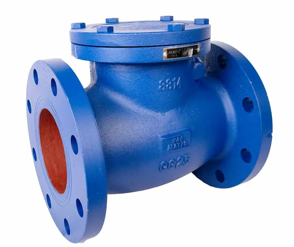 Swing Check Valve 2