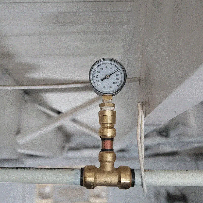 Hình ảnh minh họa (1)