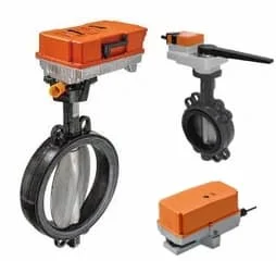 Hình ảnh minh họa (1)