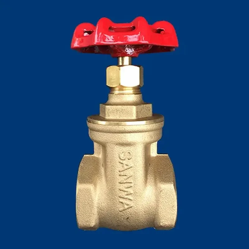 Hình ảnh minh họa (1)