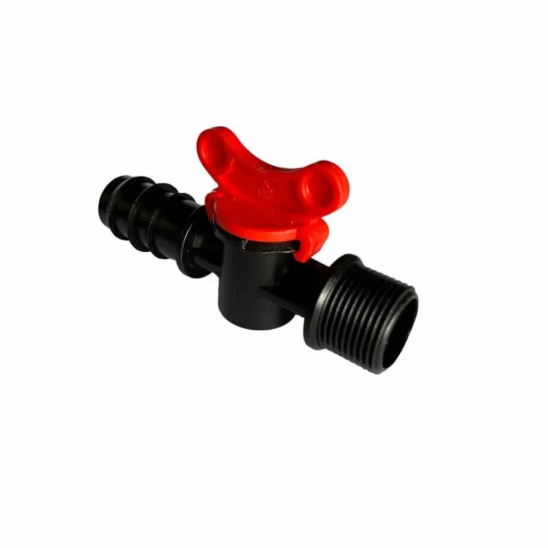 Hình ảnh minh họa (1)