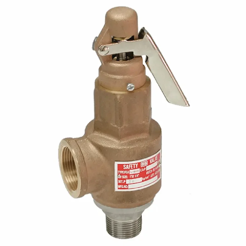 Hình ảnh minh họa (1)