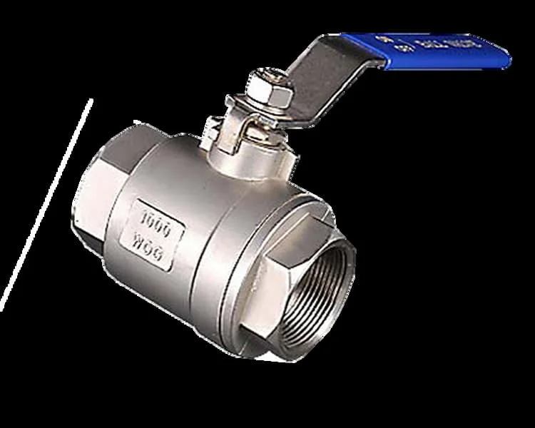 Hình ảnh minh họa (2)