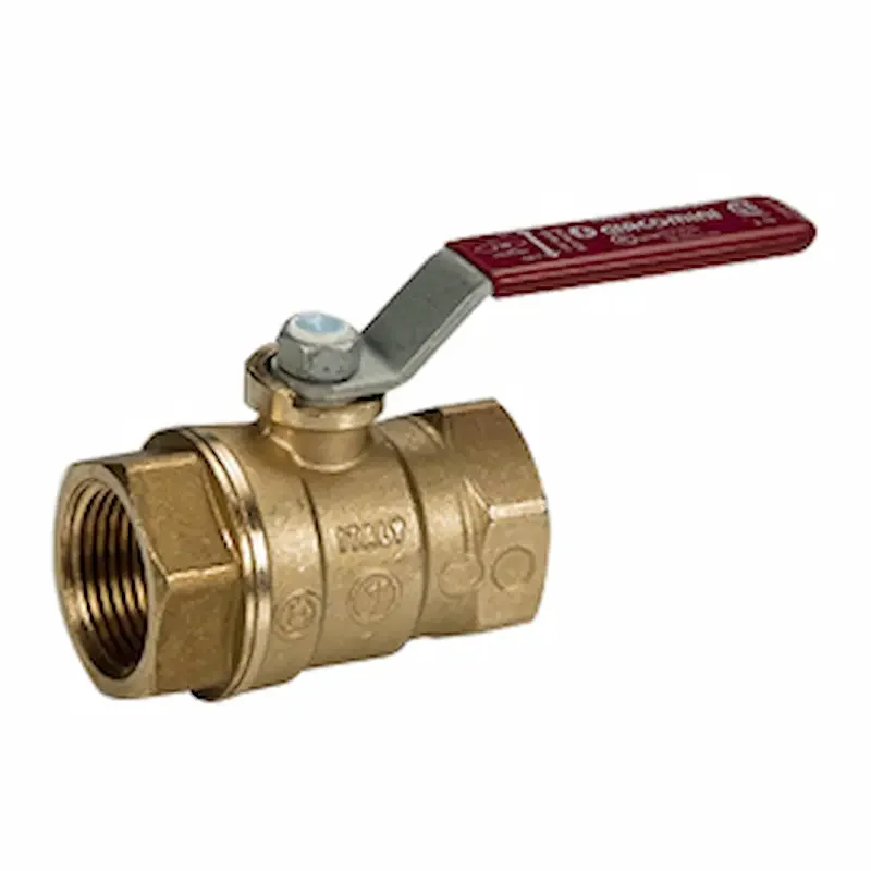 Hình ảnh minh họa (2)