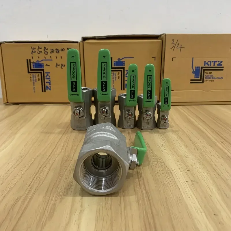 Hình ảnh minh họa (1)