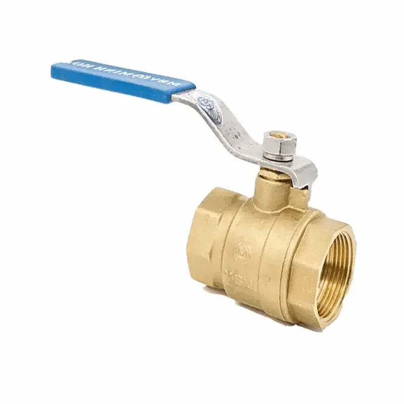 Hình ảnh minh họa (2)