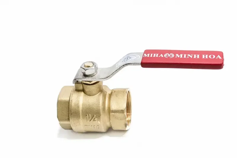 Hình ảnh minh họa (1)