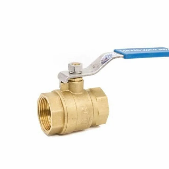 Hình ảnh minh họa (2)