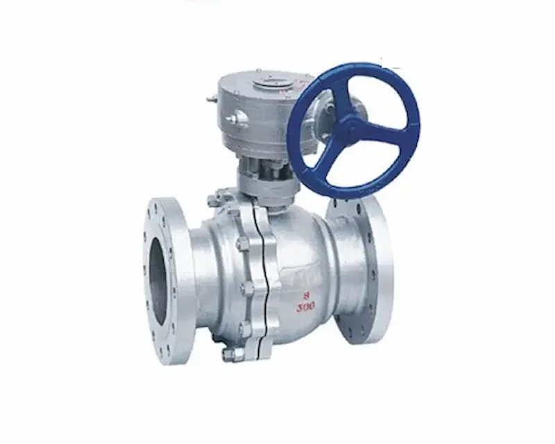 Hình ảnh minh họa (1)