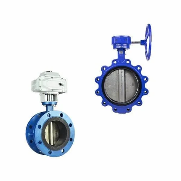 Hình ảnh minh họa (2)