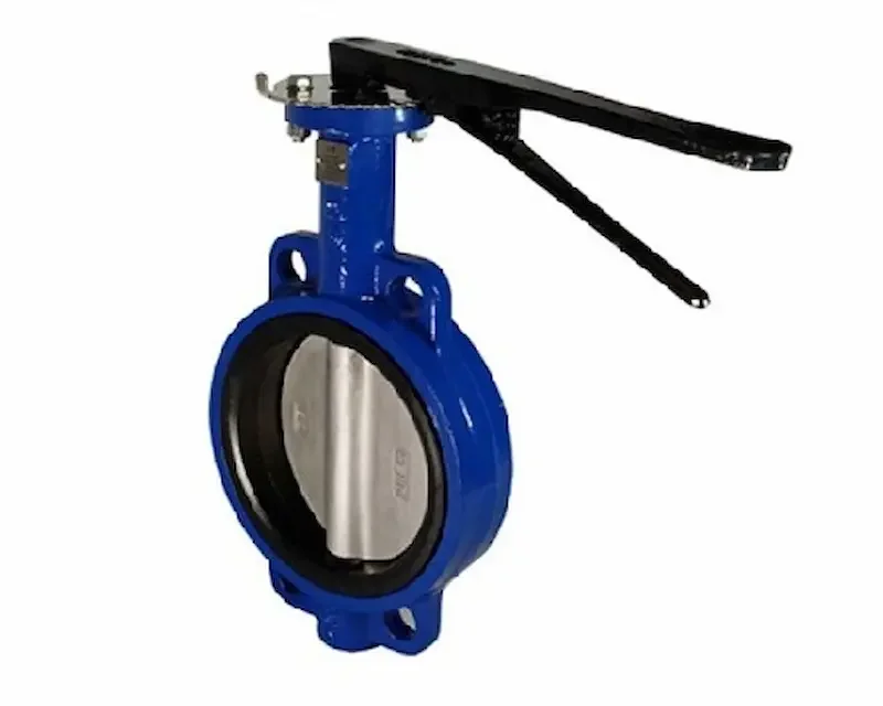 Hình ảnh minh họa (1)