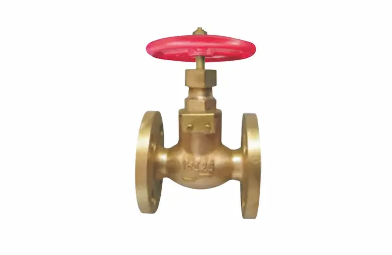 Hình ảnh minh họa (1)