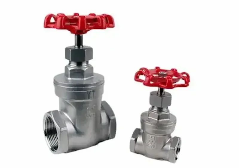 Hình ảnh minh họa (2)