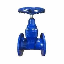 Hình ảnh minh họa (1)