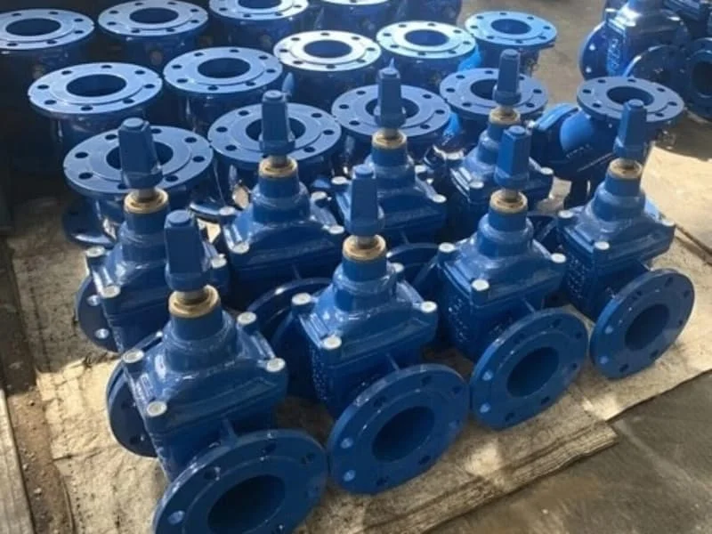 Hình ảnh minh họa (1)