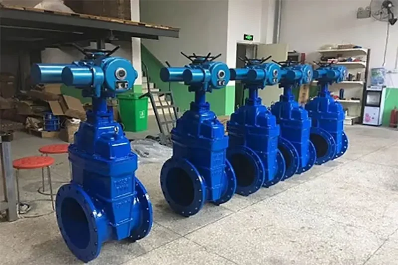 Hình ảnh minh họa (1)