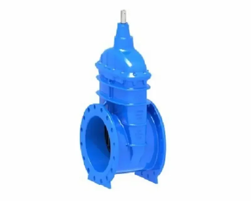 Hình ảnh minh họa (2)