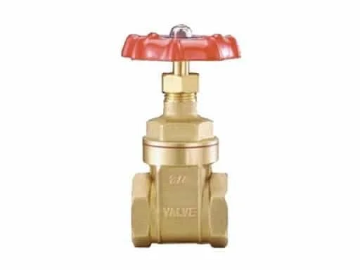 Hình ảnh minh họa (1)