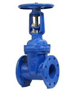 Hình ảnh minh họa (1)