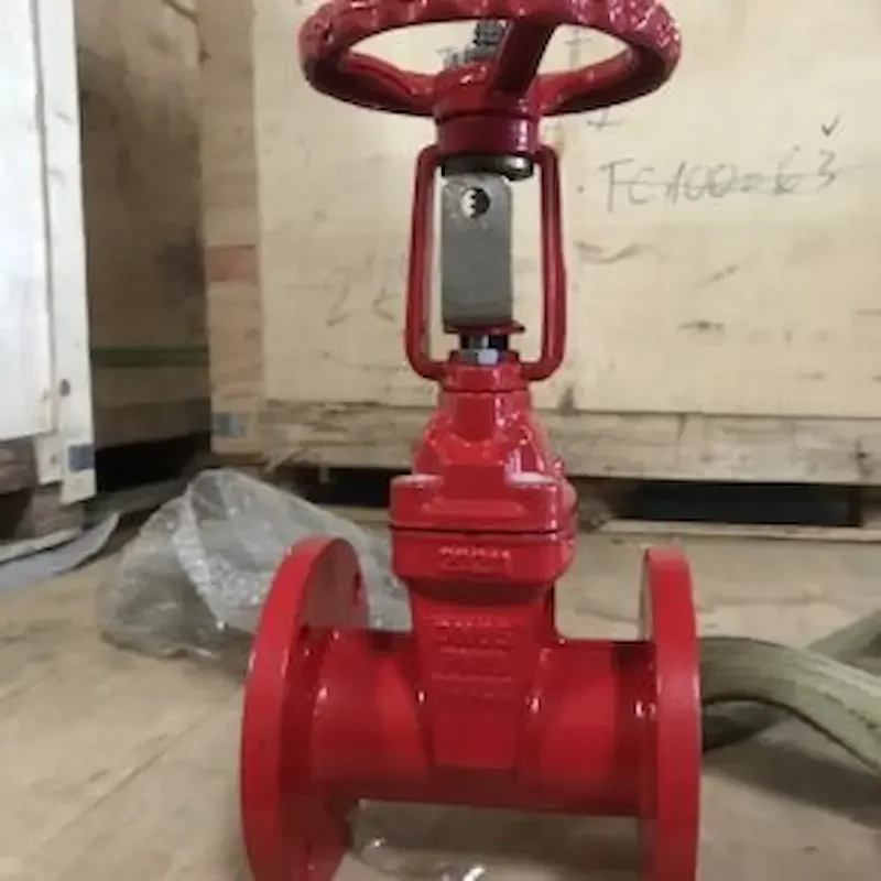 Hình ảnh minh họa (2)