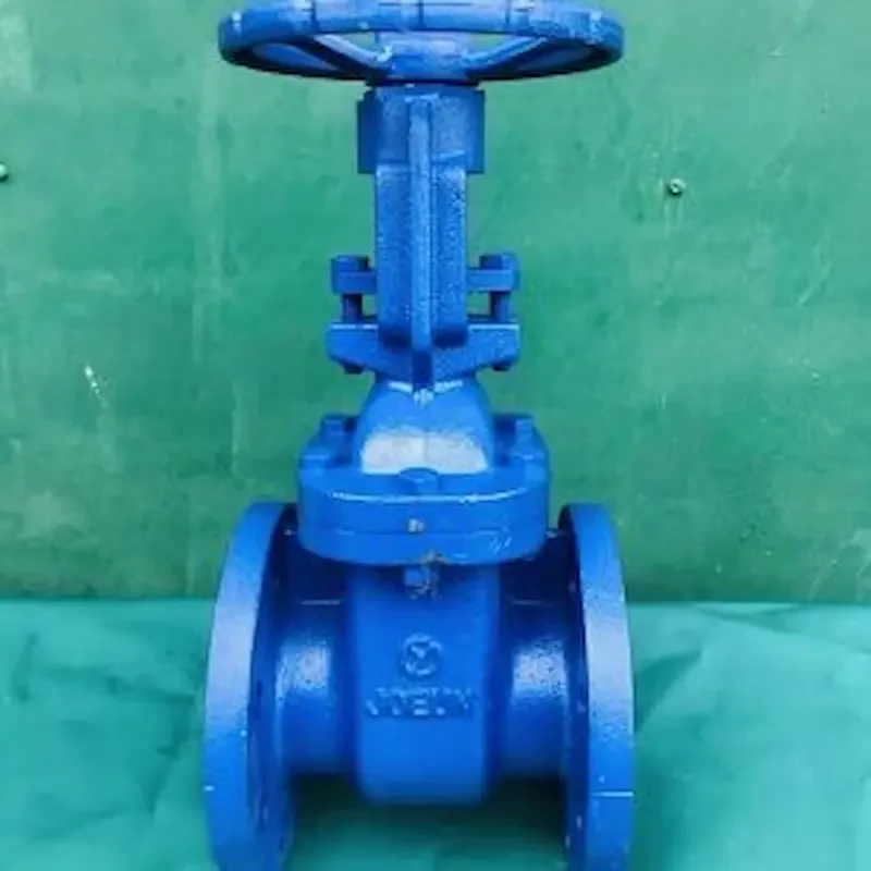 Hình ảnh minh họa (1)