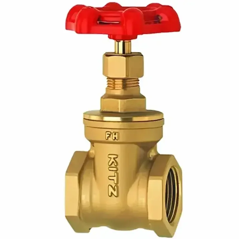 Hình ảnh minh họa (1)