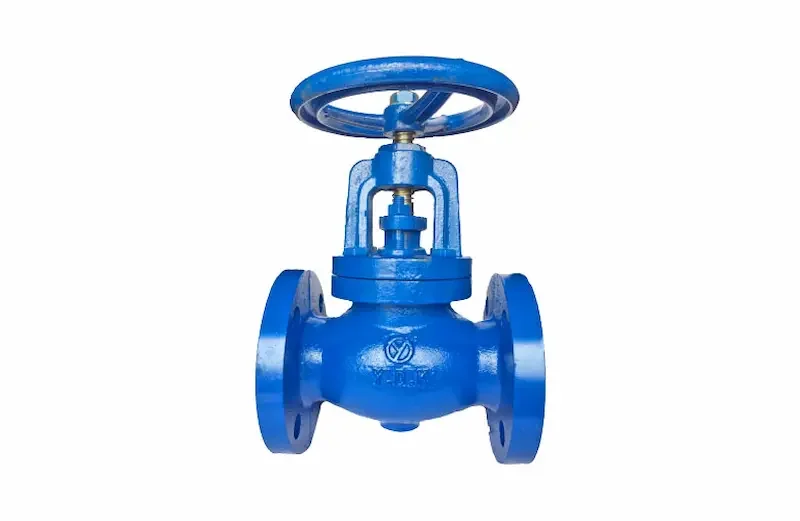 Hình ảnh minh họa (1)