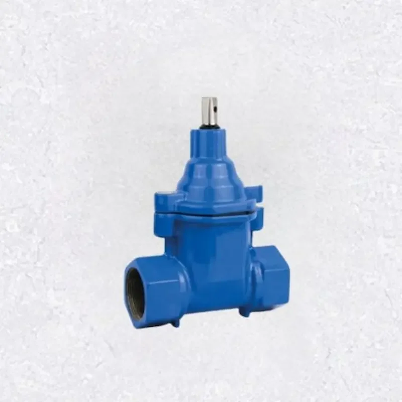 Hình ảnh minh họa (2)