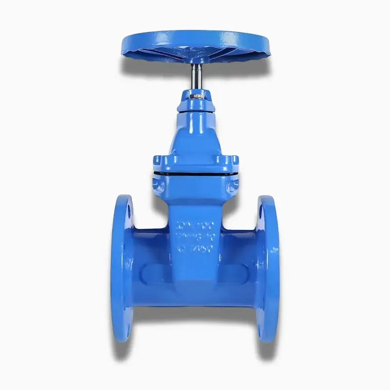 Hình ảnh minh họa (1)