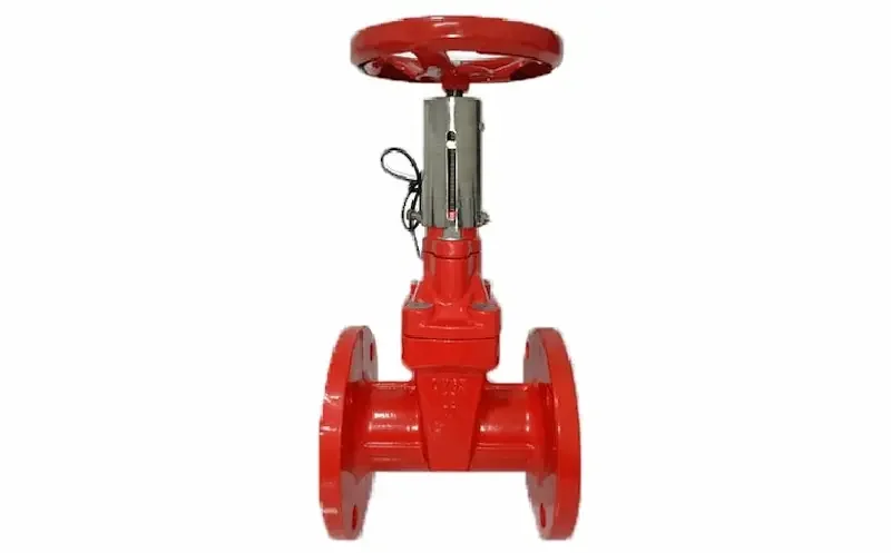 Hình ảnh minh họa (1)