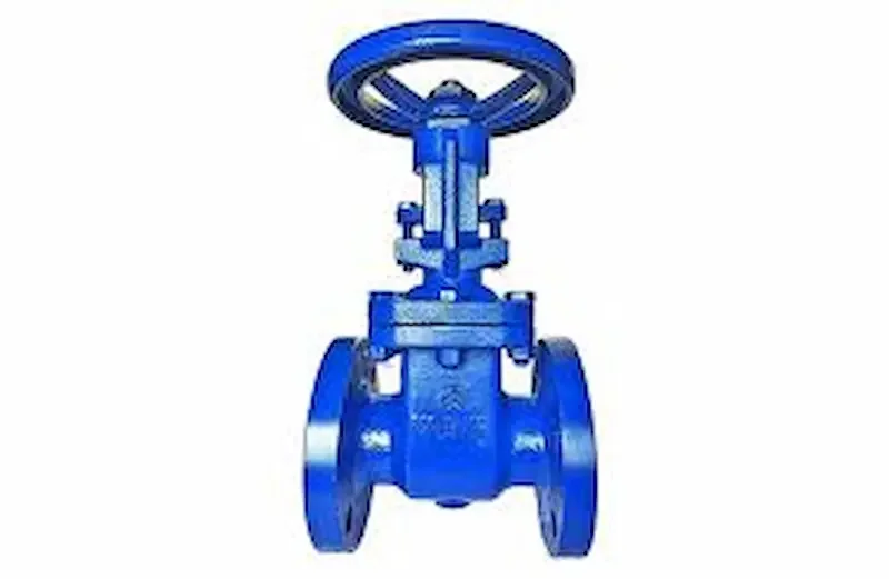 Hình ảnh minh họa (2)