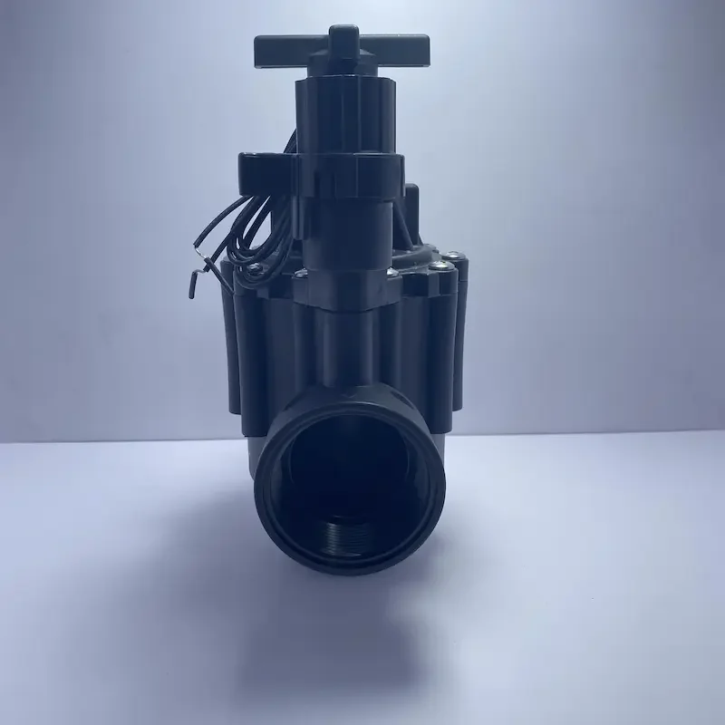 Hình ảnh minh họa (2)