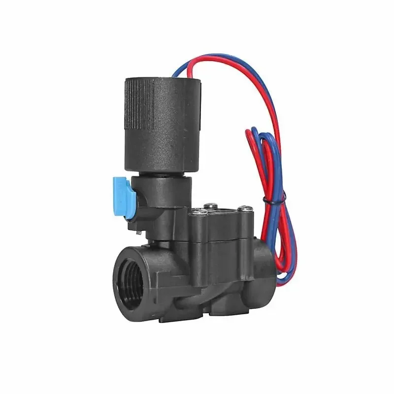 Hình ảnh minh họa (2)