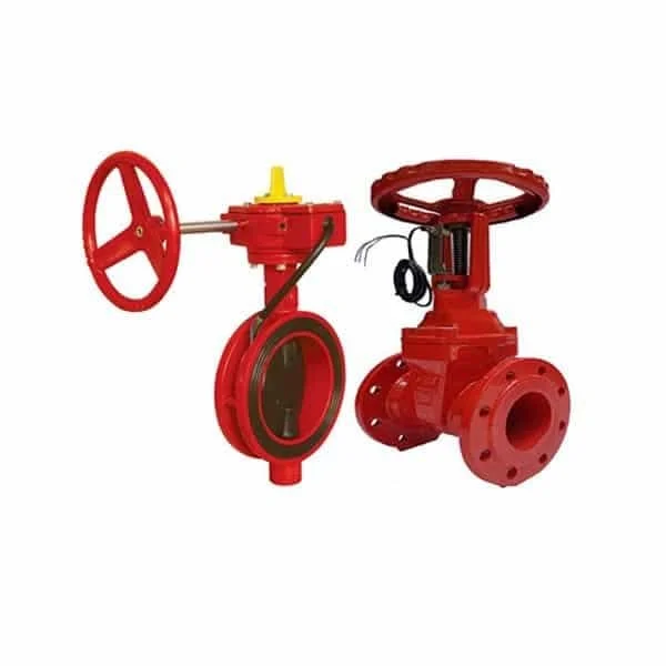 Hình ảnh minh họa (2)