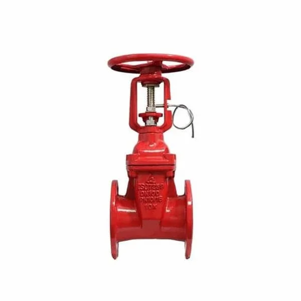 Hình ảnh minh họa (1)