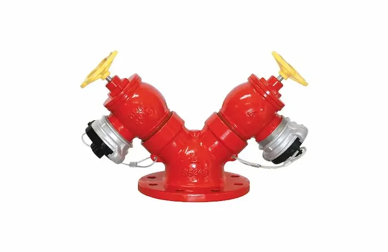 HÌnh ảnh minh họa (1)