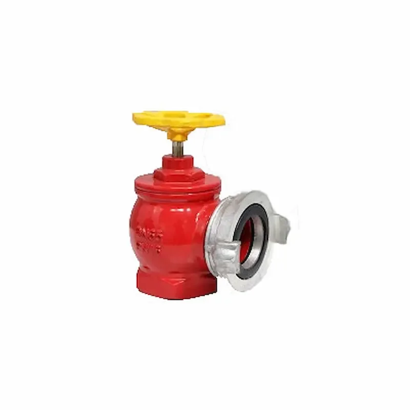 Hình ảnh minh họa (2)