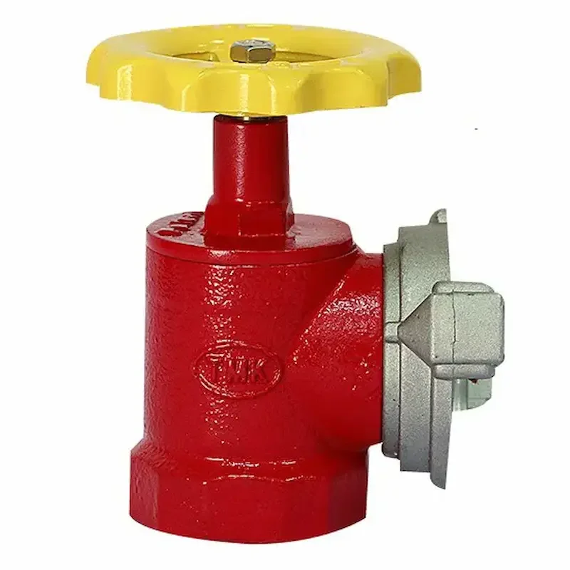 Hình ảnh minh họa (1)