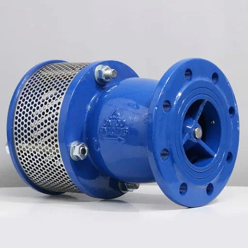 Hình ảnh minh họa (1)