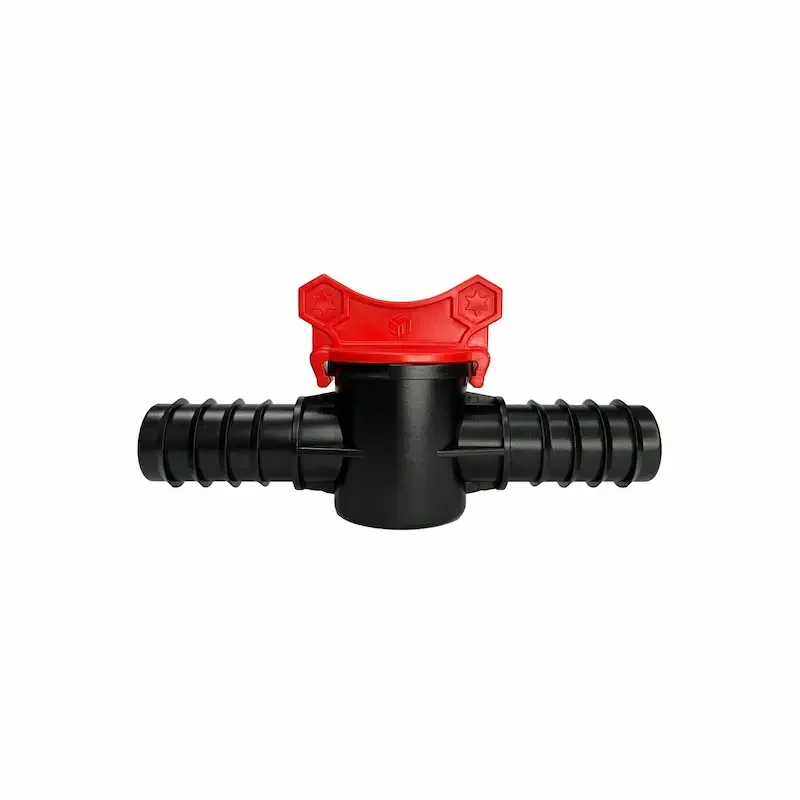 Hình ảnh minh họa (2)