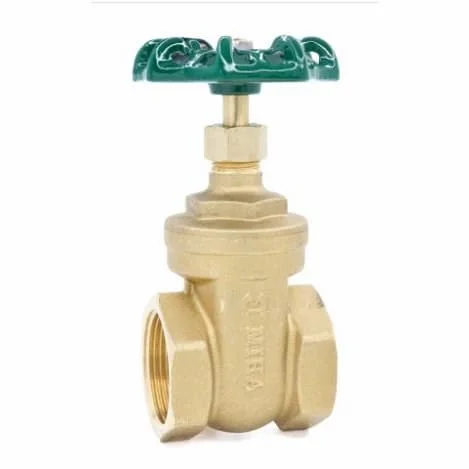 Hình ảnh minh họa (1)