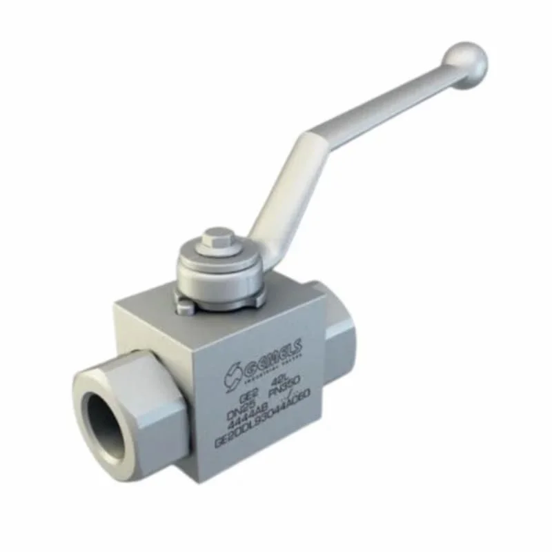 Hình ảnh minh họa (1)