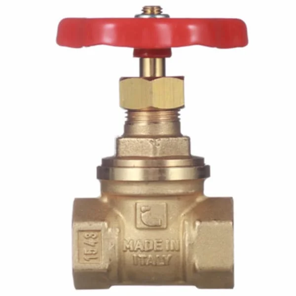 Hình ảnh minh họa (2)