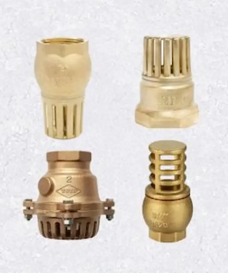 Hình ảnh minh họa (2)