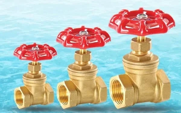 Hình ảnh minh họa (2)