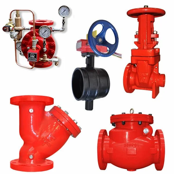 Hình ảnh minh họa (2)